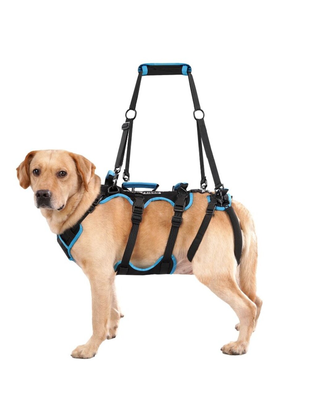 Lafoty Dog Lift Harness Male Dogs, 2-in-1, Back Leg Support Mobility Asst Large